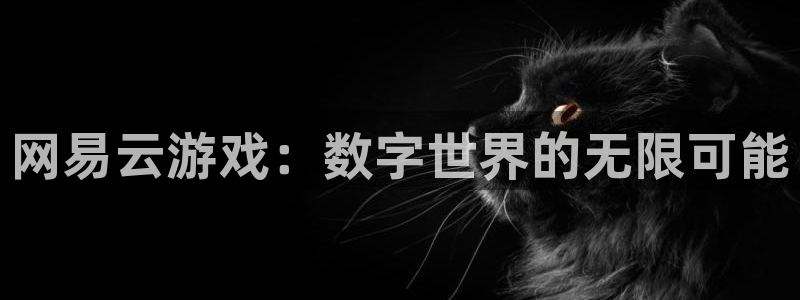 小艾电竞平台